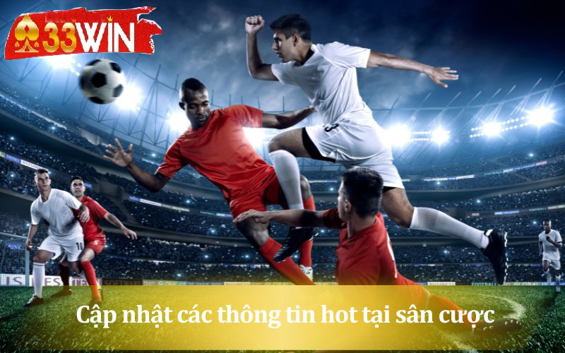 Không chơi kèo dụ là cách chơi cá độ bóng đá không thua hiệu quả