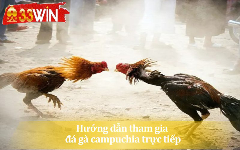 Hướng dẫn kê thủ cách tham gia đá gà campuchia
